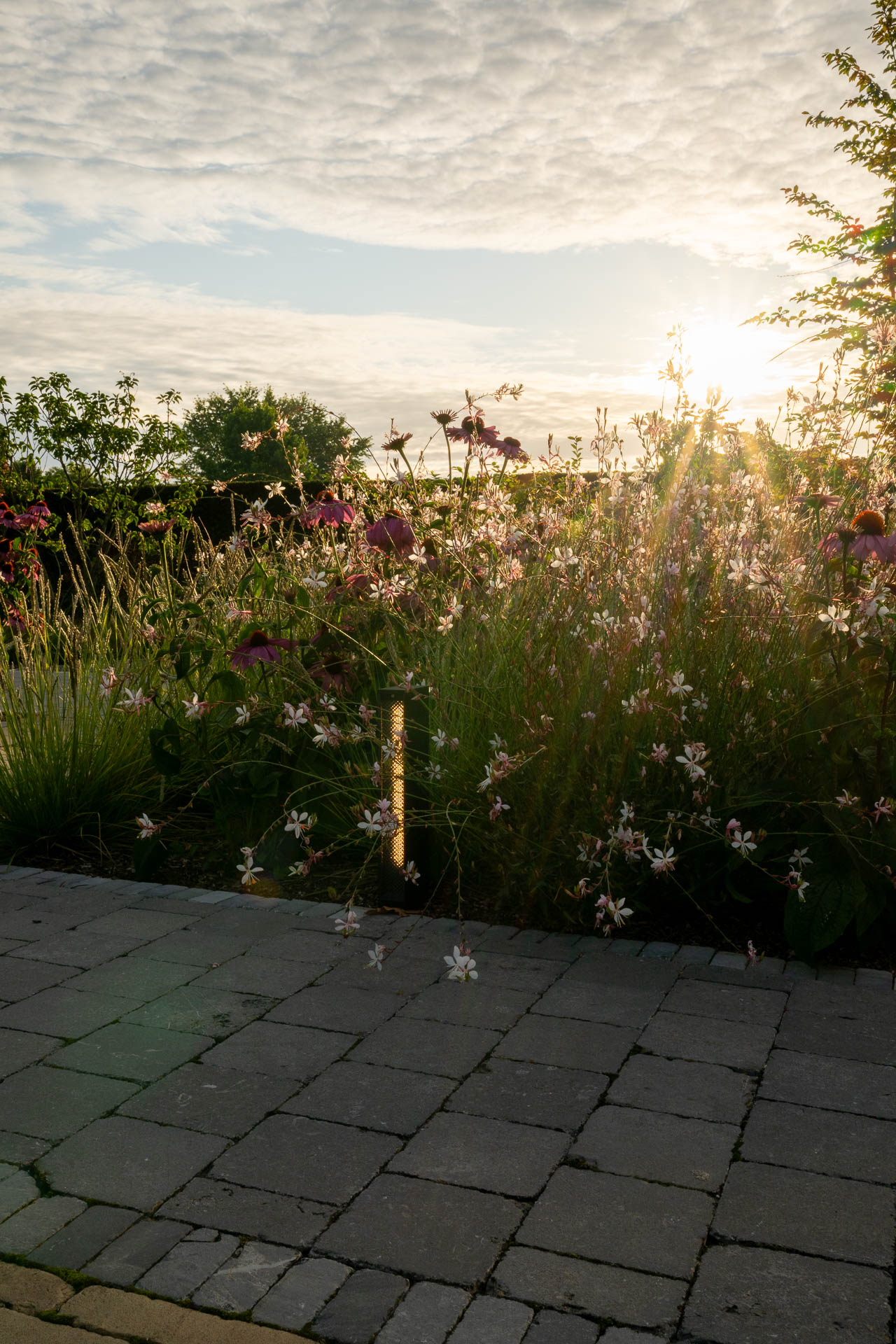 Weelderige voortuin in kleurrijke vakken